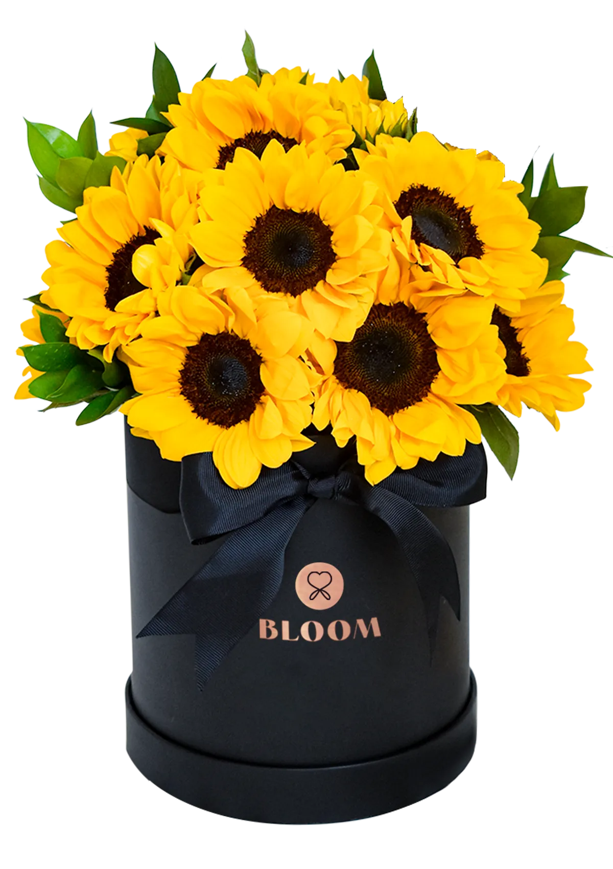 Box de Girasoles