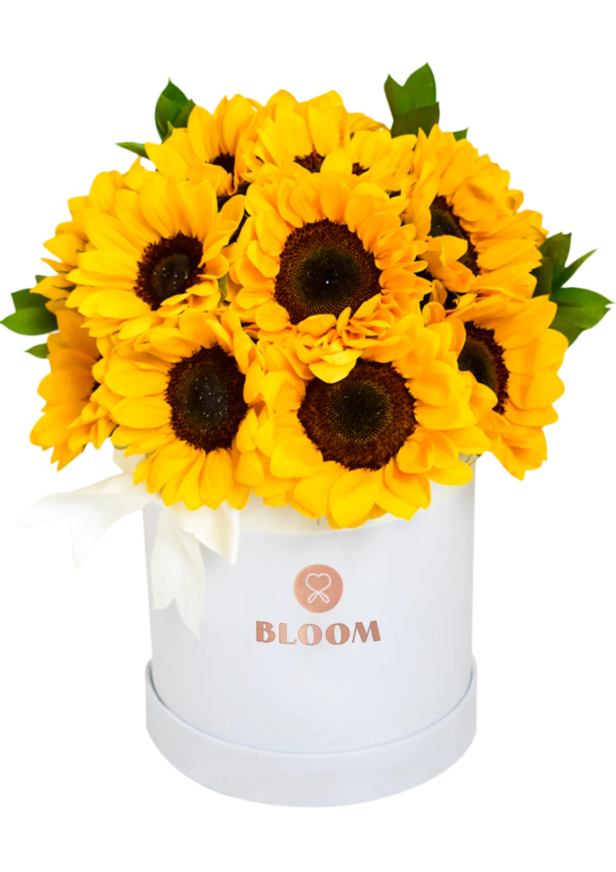 Box de Girasoles