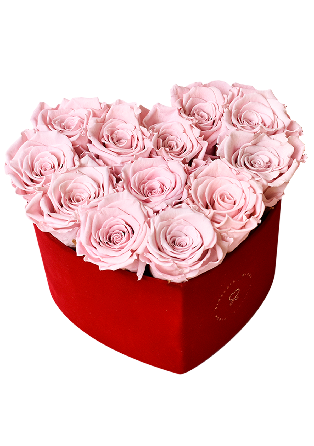 Caja Corazón Velvet con rosas preservadas - Florería Bloom