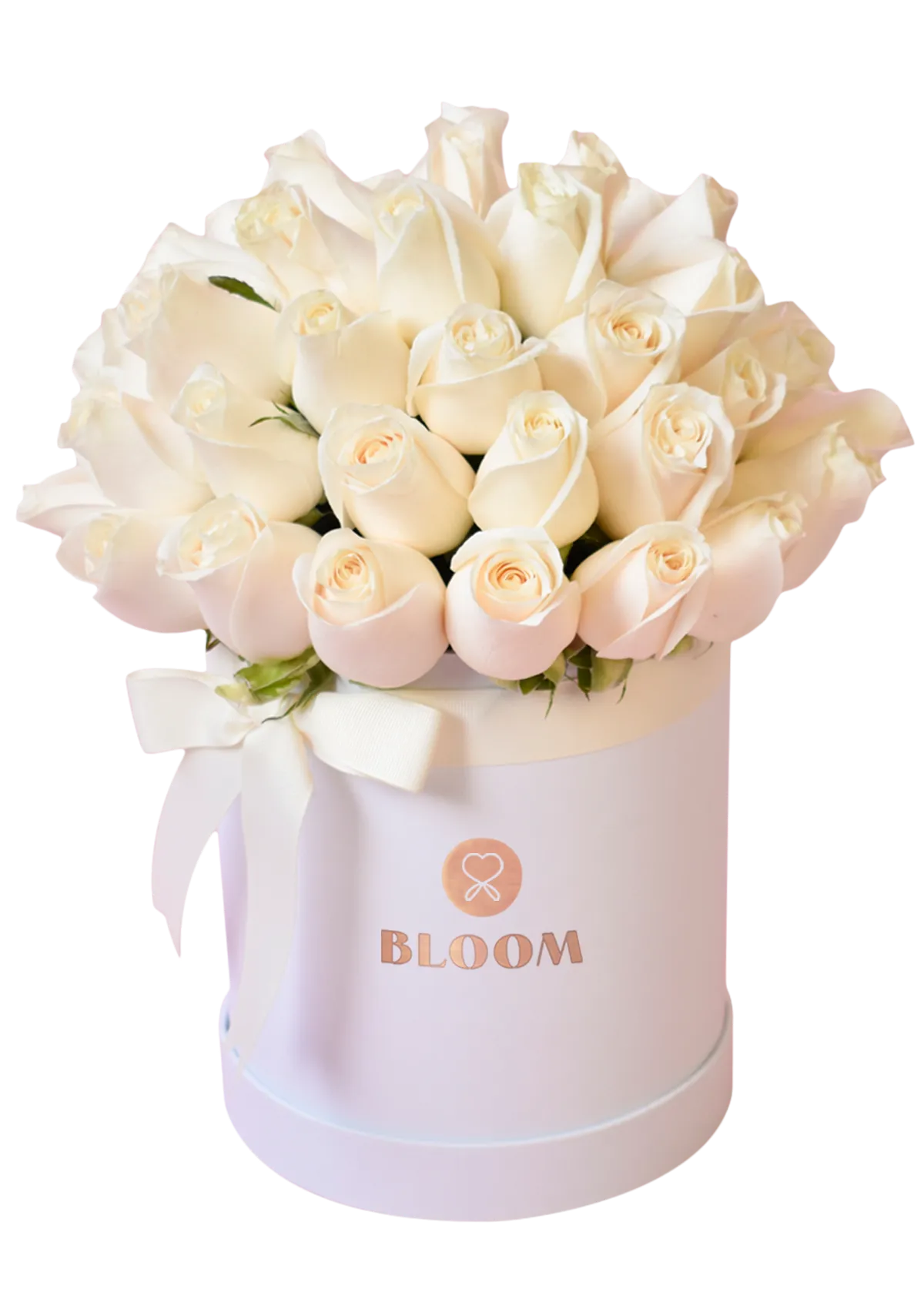 Love Box Novia