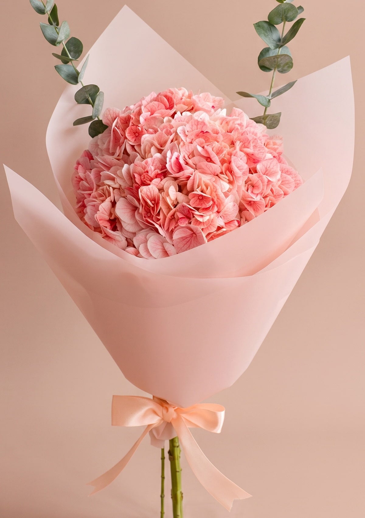 Ramo de hortensias rosadas 🌈