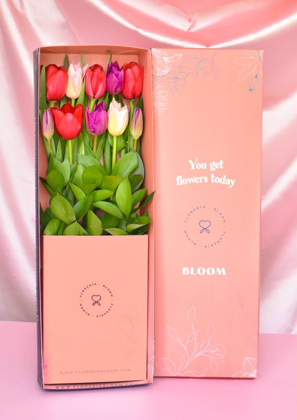 Caja con 10 Tulipanes Premium DM
