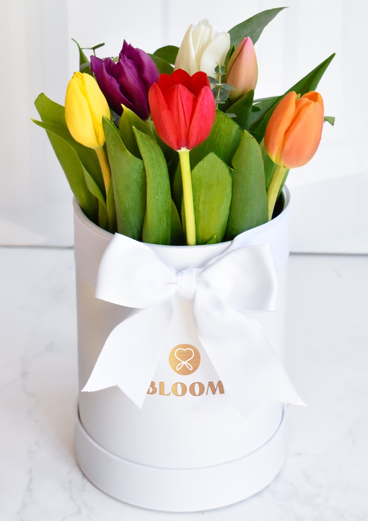 Box de 6 tulipanes Premium