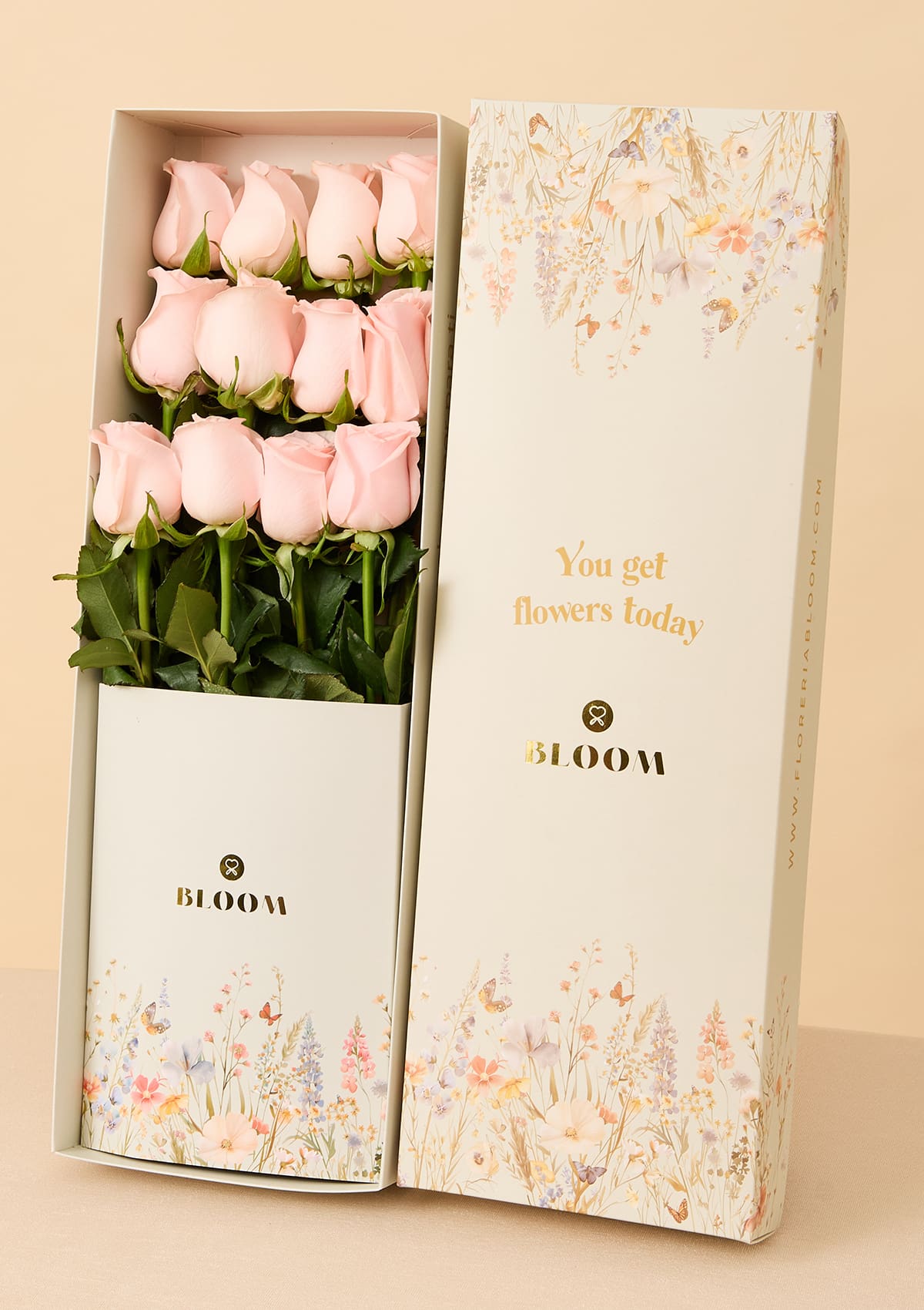 Caja con 12 Rosas