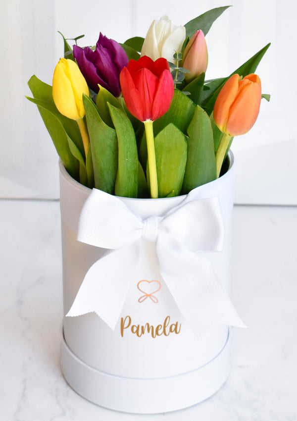 Box de 6 tulipanes Premium