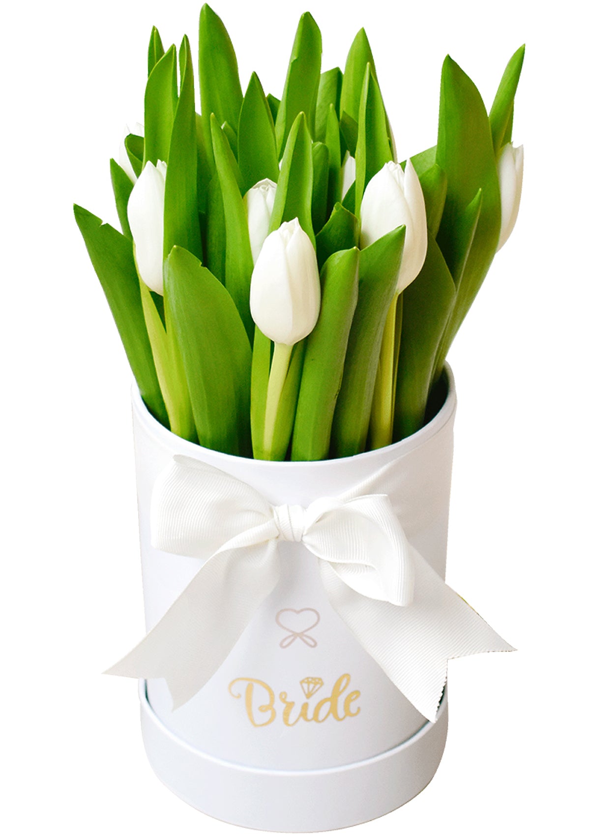 Box Novia con 10 de tulipanes