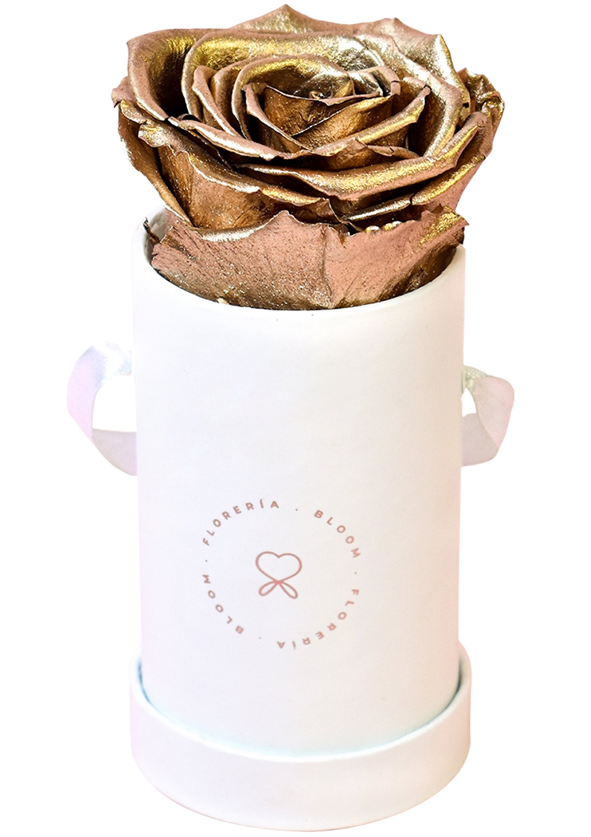 Box de 1 rosa preservada dorada - Florería Bloom