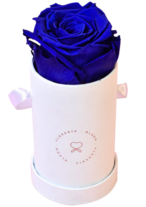 Box de 1 rosa preservada azul - Florería Bloom