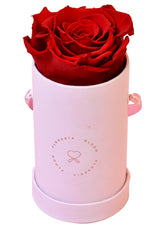 Box de 1 rosa preservada roja
