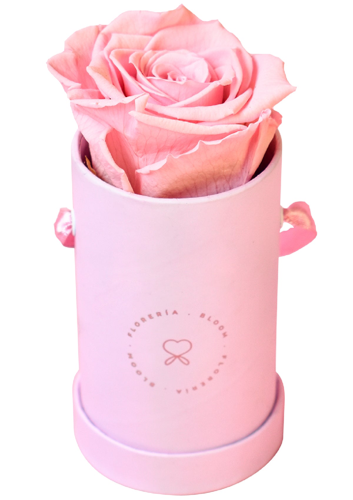 Box de 1 rosa preservada rosada - Florería Bloom