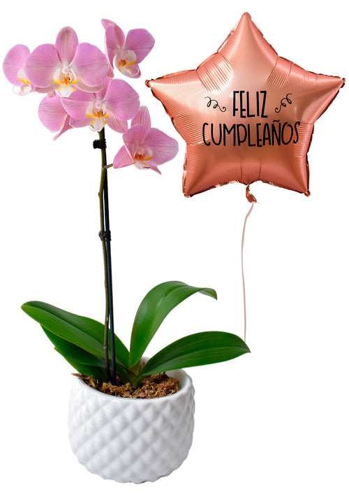 Orquídea + globo personalizado - Florería Bloom