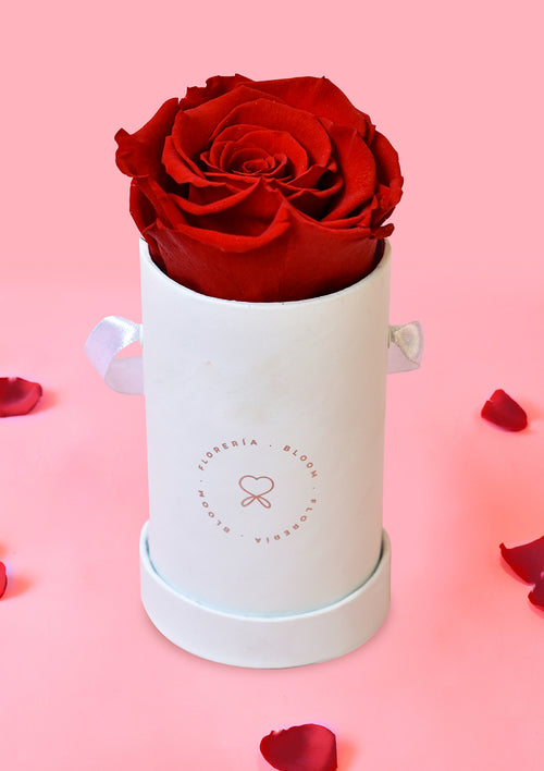 Box de 1 rosa preservada roja - Florería Bloom