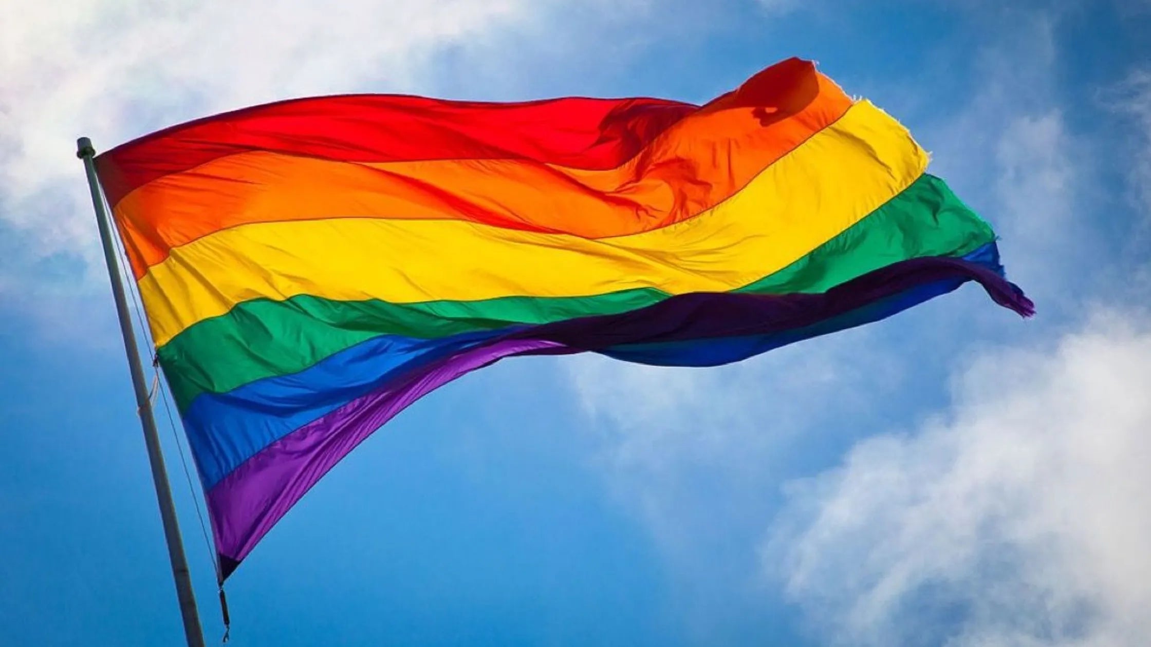 Colores de la bandera del Orgullo y flores arcoíris en Lima — Florería Bloom