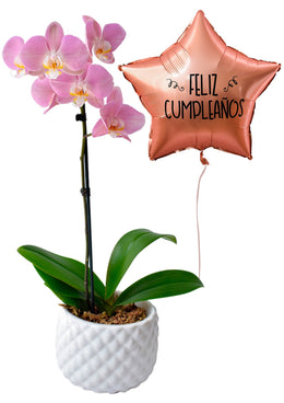 Orquídeas