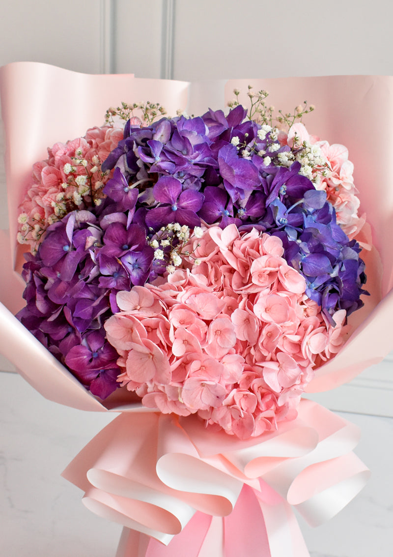 Ramo de Hortensias Bicolor