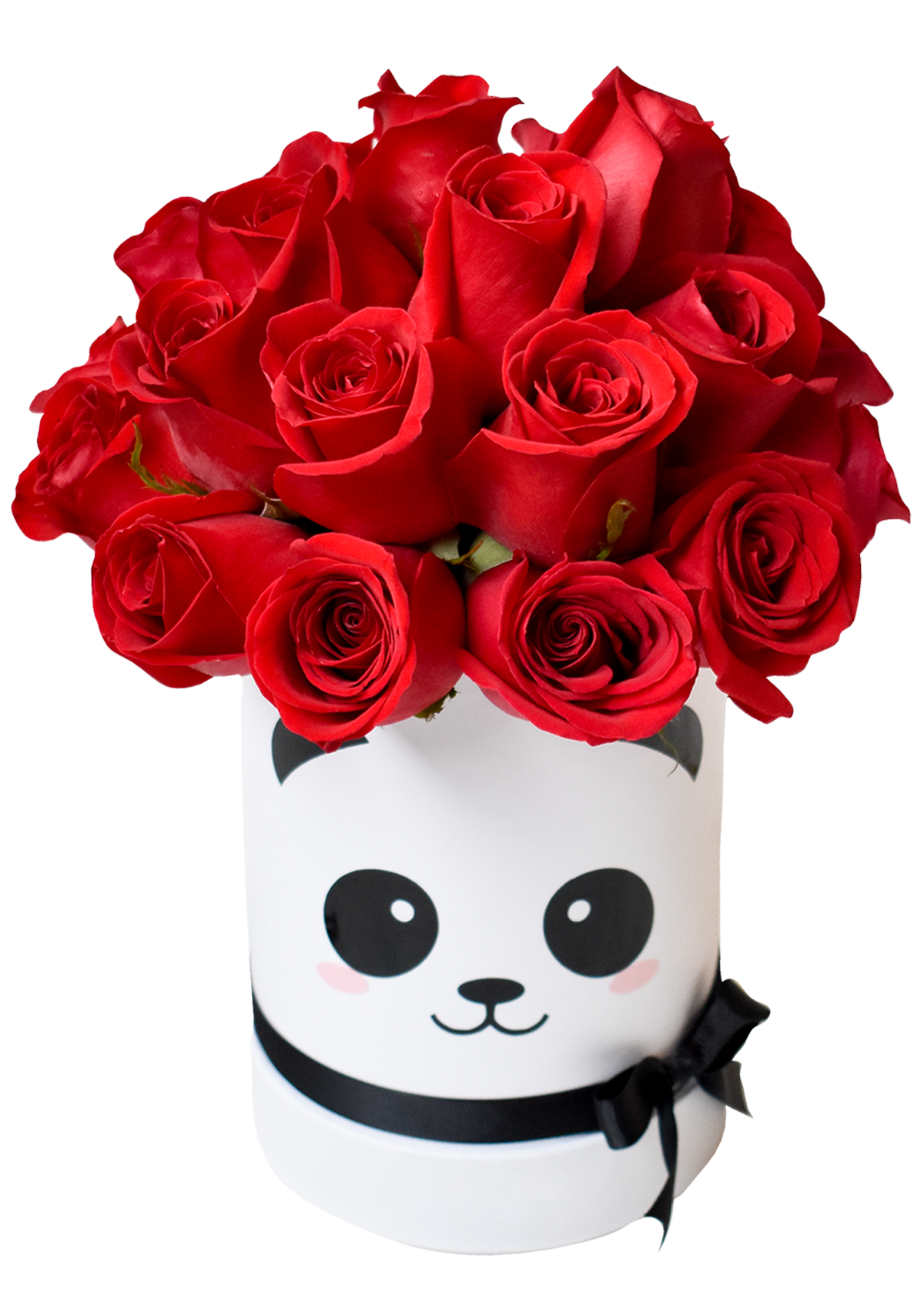 Box Panda - Florería Bloom