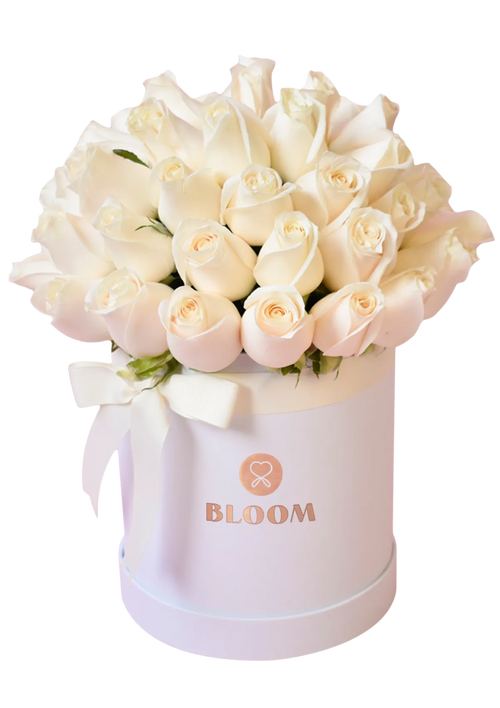 Love Box Novia
