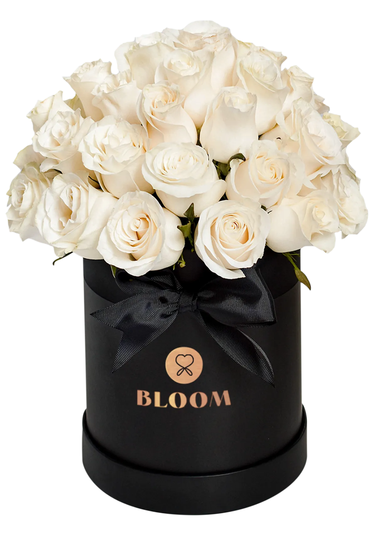 Love Box Condolencias
