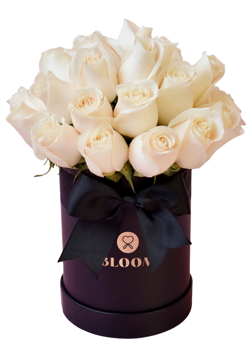 Petit Box Condolencias
