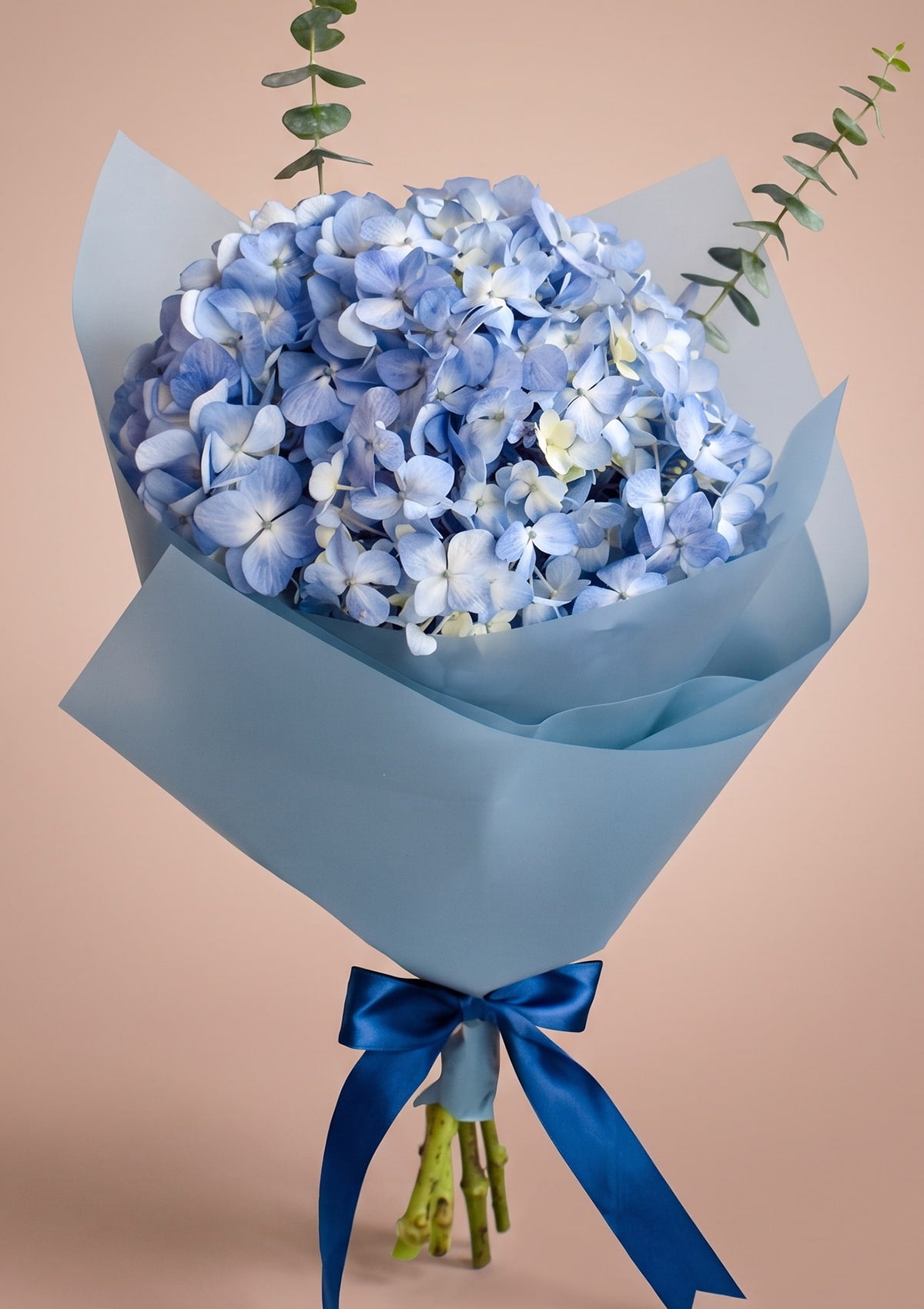 Ramo con Hortensias Azules 🌈