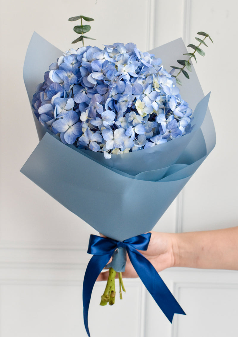 Ramo Premium de Hortensias Azules