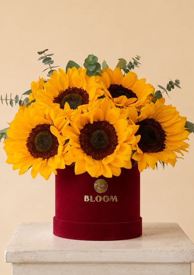 Arreglo con Girasoles en Envase Aterciopelado | Flores Amarillas