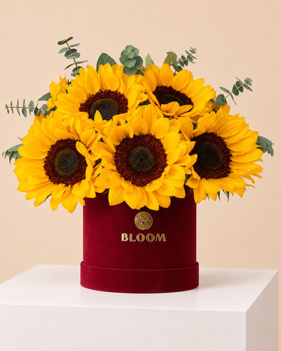 Arreglo con Girasoles en Envase Aterciopelado | Flores Amarillas