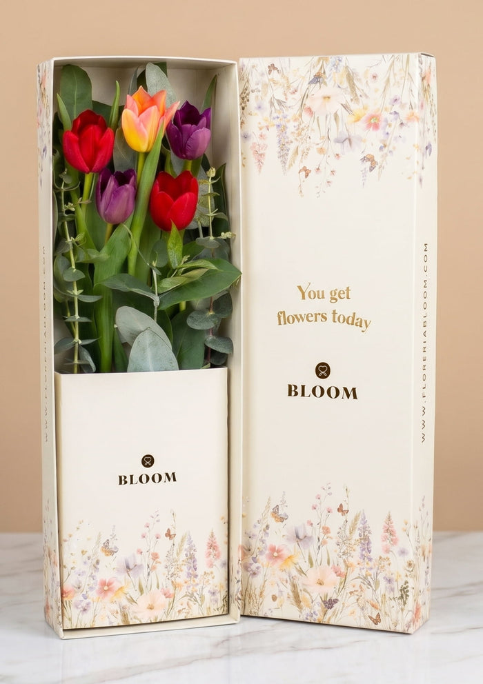 Caja con 5 Tulipanes Premium