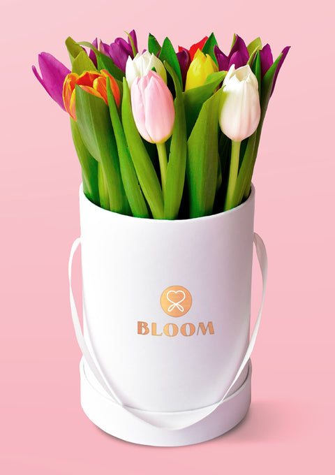 Box de 10 tulipanes Premium