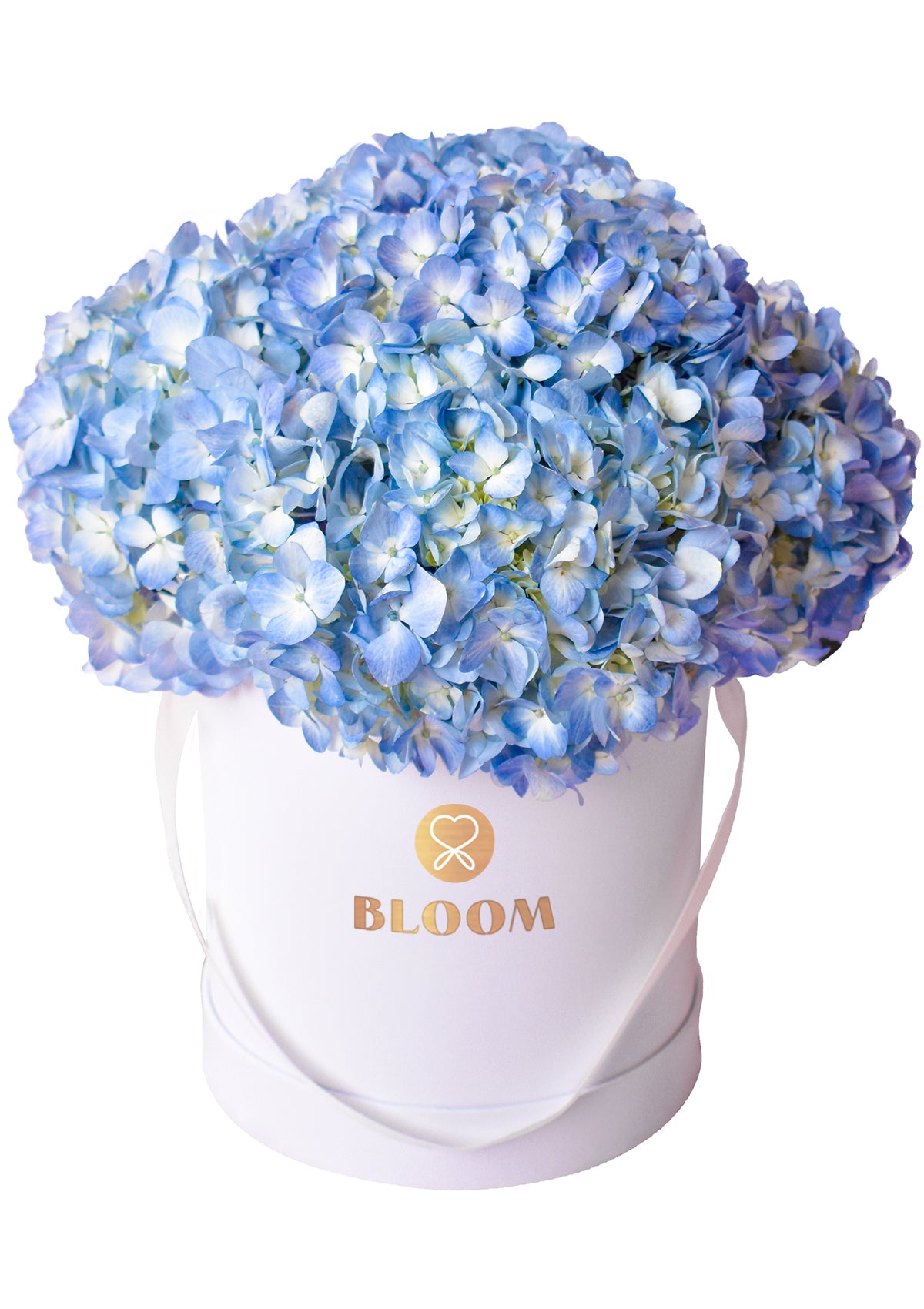 Box de Hortensias Azules - Florería Bloom
