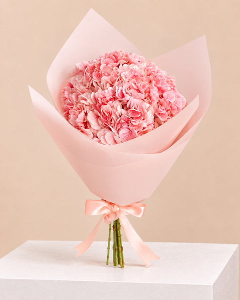Ramo de hortensias rosadas