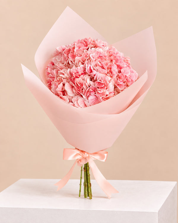 Ramo de hortensias rosadas
