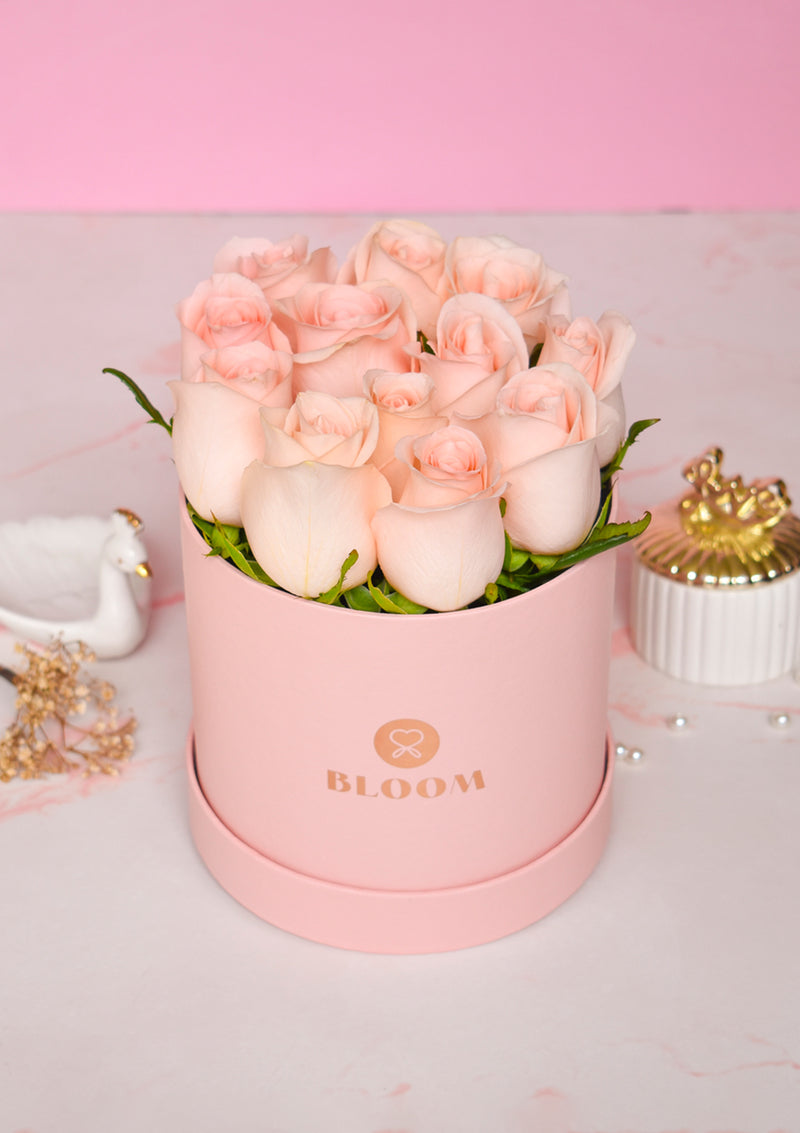 Mini Box
