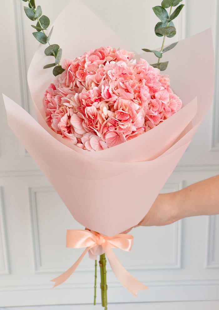Ramo de hortensias rosadas