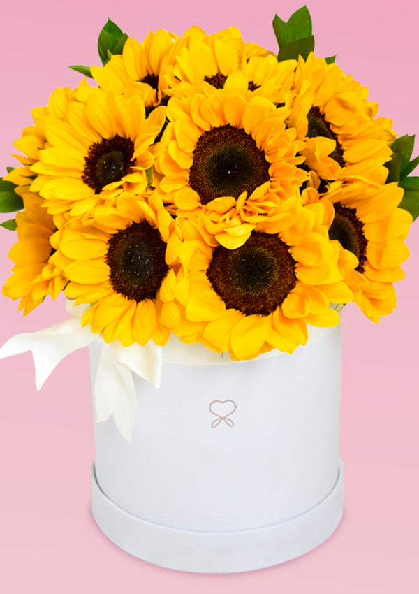 Box Sol | FLORES AMARILLAS