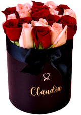 Box Valentina Bicolor