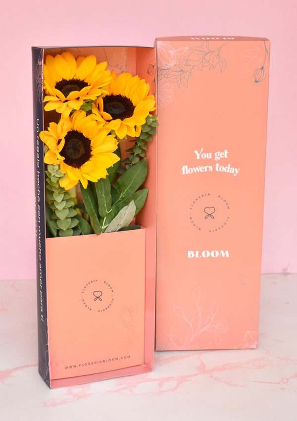 Caja con 3 girasoles Premium | FLORES AMARILLAS