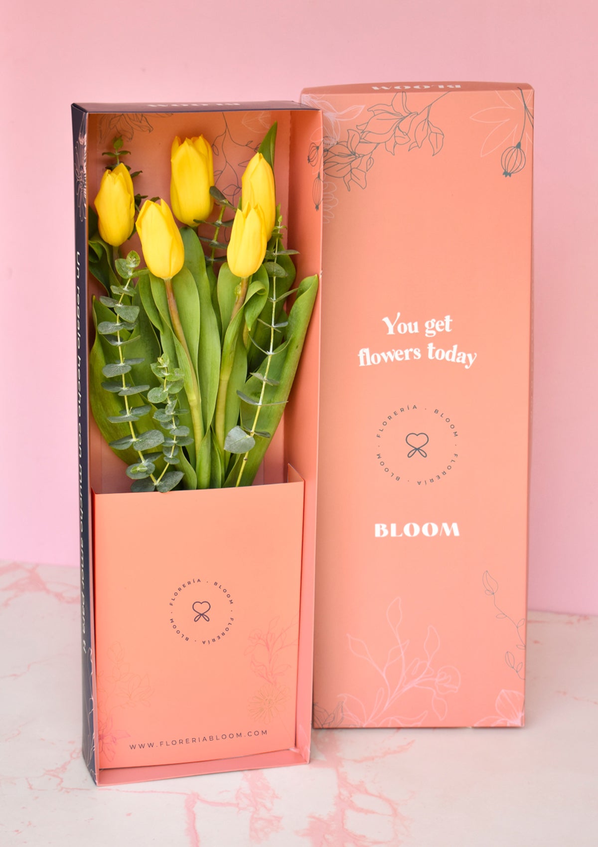 Caja con 5 Tulipanes Premium FA