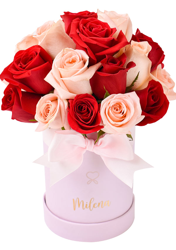 Petit Box Bicolor