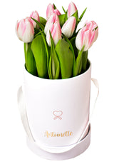 Box de 10 tulipanes