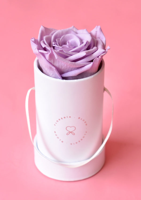Box de 1 rosa preservada lila