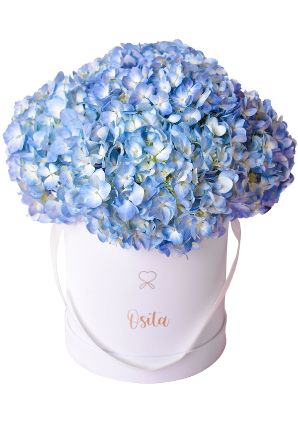 Hydrangea Box