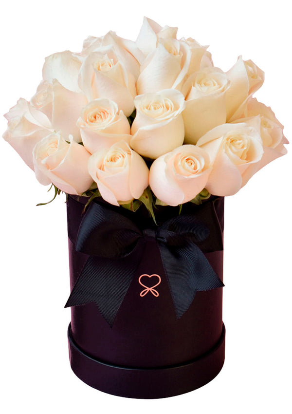Petit Box Condolencias - Florería Bloom