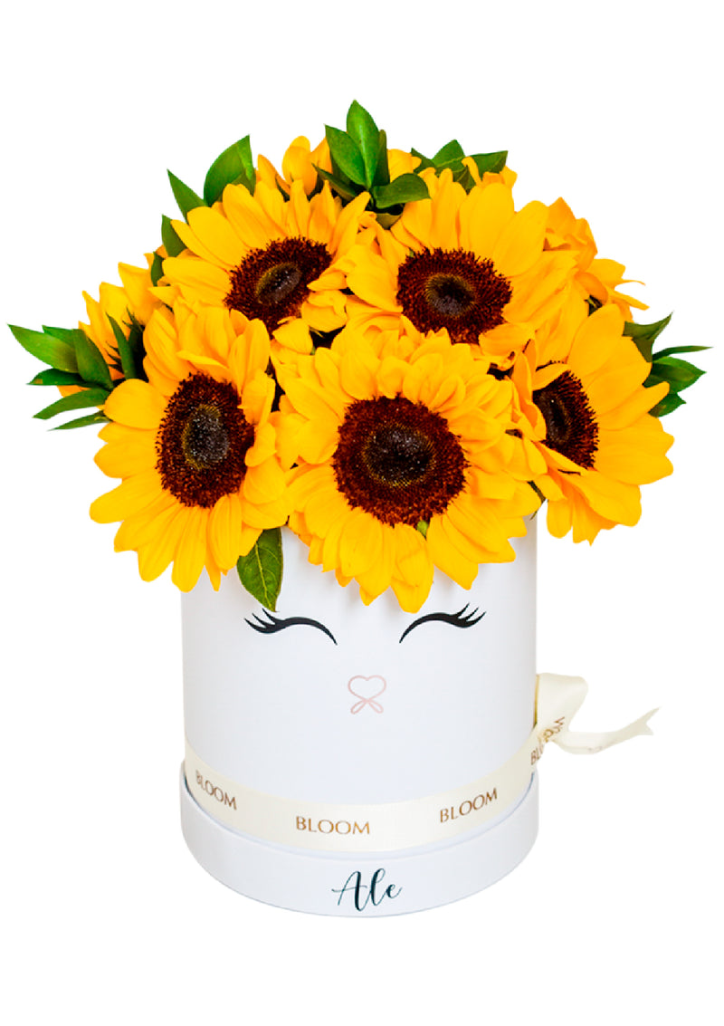 Box de Girasoles con ojitos