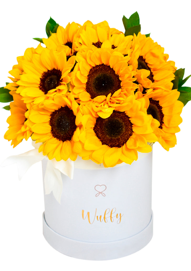 Box de Girasoles - Florería Bloom