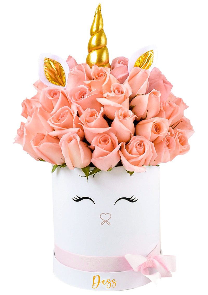 Stuffed toy in box: Pink bunny