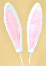 Stuffed toy in box: Pink bunny