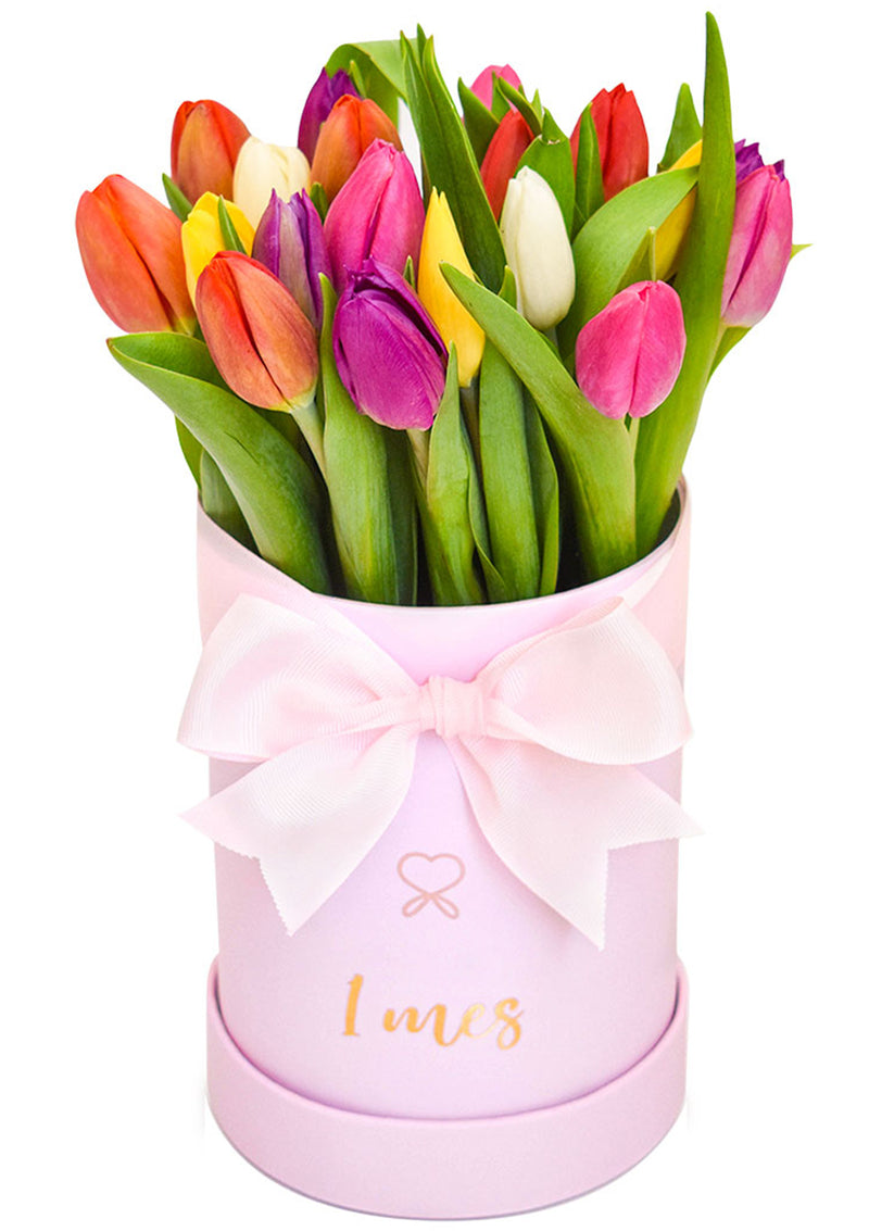Tulips Box 20 Multicolor tulips